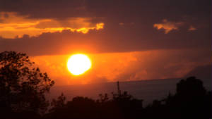 DSC00995.jpg